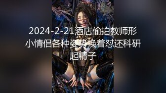 11/13最新 粉鲍少妇后入打飞机全力榨精简直爽翻天VIP1196