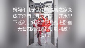 蜜桃影像PME265鲁蛇修理工强操美艳少妇