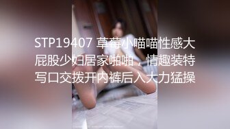 STP19407 草莓小喵喵性感大屁股少妇居家啪啪，情趣装特写口交拨开内裤后入大力猛操