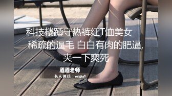 【原创国产精选】肥臀熟女阿姨情趣丝袜勾引小鲜肉从后面狠狠操