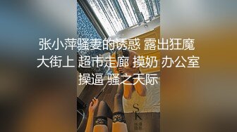 张小萍骚妻的诱惑 露出狂魔 大街上 超市走廊 摸奶 办公室操逼 骚之天际