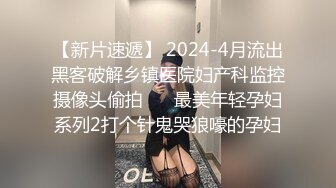  2024-09-14 大像传媒DA-53街頭搭訕神似波多野結衣的傲嬌女僕