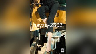 heyzo-2802