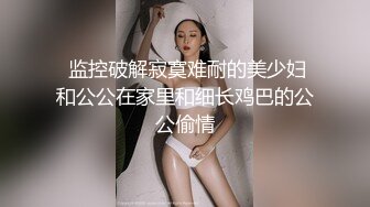 十分耐玩的少妇4