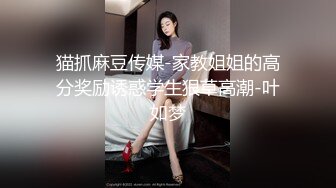 「国产AV主题秀——我眼中的极品美乳」完美乳型小姐姐主题合集⑥【22V】 (6)