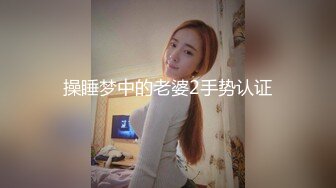 操睡梦中的老婆2手势认证