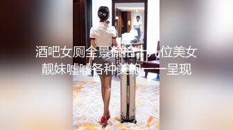 小手电强拍高跟少妇的黑鲍鱼