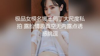 极品女模名媛王俪丁大尺度私拍 露脸情趣真空无内露点诱惑挑逗