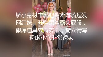 【AV佳丽】成人游戏最终以与巨乳黑发的热辣性爱告终