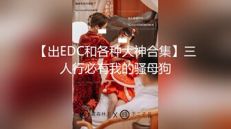 【出EDC和各种大神合集】三人行必有我的骚母狗