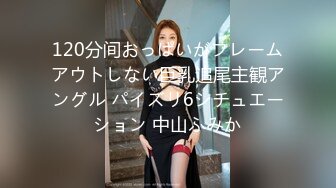 120分间おっぱいがフレームアウトしない巨乳追尾主観アングル パイズリ6シチュエーション 中山ふみか