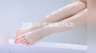 风情少妇爱棒棒224(2)