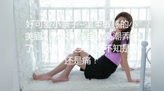 后入大奶骚妇，二哈观战