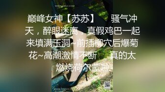 顶级性感小模身穿薄纱勾引男伴,火车便当侧抬腿站位爆肏