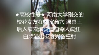 上司和部下的妻子8 熟年夫妇的悲剧 织田玲子