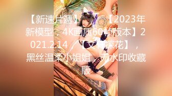 【新速片遞】 ⭐⭐⭐【2023年新模型，4K画质60帧版本】2021.2.14，【文轩探花】，黑丝温柔小姐姐，无水印收藏版