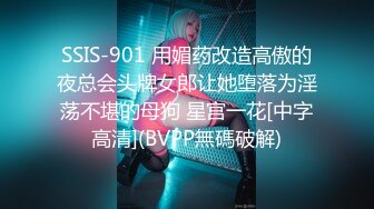 SSIS-901 用媚药改造高傲的夜总会头牌女郎让她堕落为淫荡不堪的母狗 星宫一花[中字高清](BVPP無碼破解)