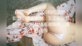   探花一哥，3000网约温婉小姐姐，媚态毕现，玉足抚屌骚起来，啪啪暴插高潮阵阵，精彩佳作