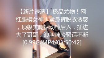 调教丝袜小母狗，极致反差