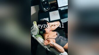 heyzo-2541