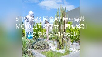 STP29323 國產AV 麻豆傳媒 MCY0117 極品女上司被幹到腿軟 李蓉蓉 VIP0600