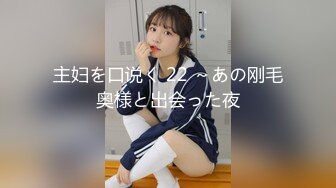 主妇を口说く 22 ～あの刚毛奥様と出会った夜