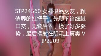 STP24560 女神极品女友，颜值界的扛把子，先爬下给细腻口交，无套后入，换了好多姿势，最后撸射在阴毛上真爽 VIP2209