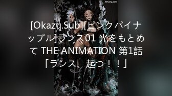 [Okazu.Sub][ピンクパイナップル]ランス01 光をもとめて THE ANIMATION 第1話「ランス、起つ！！」