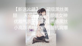 专心舔鸡巴的小母狗