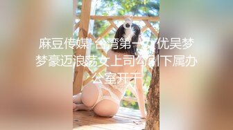 麻豆传媒-台湾第一女优吴梦梦豪迈浪荡女上司勾引下属办公室开干