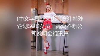 (中文字幕) [SDJS-093] 特殊企划SOD女员工高潮不断公司说明会视讯篇