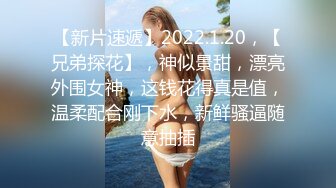 【新片速遞】2022.1.20，【兄弟探花】，神似景甜，漂亮外围女神，这钱花得真是值，温柔配合刚下水，新鲜骚逼随意抽插