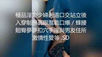 [2DF2]广州富二代高级情趣酒店约炮短发女友高清完整版 [BT种子]