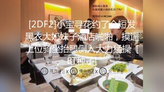 [2DF2]小宝寻花约了个短发黑衣大奶妹子酒店啪啪，摸逼上位骑坐抬腿侧入大力猛操  [BT种子]