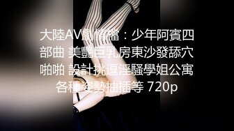 大陸AV劇情檔：少年阿賓四部曲 美艷巨乳房東沙發舔穴啪啪 設計挑逗淫騷學姐公寓各種姿勢抽插等 720p