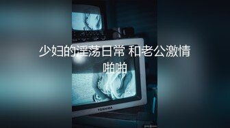 撕烂灰丝2