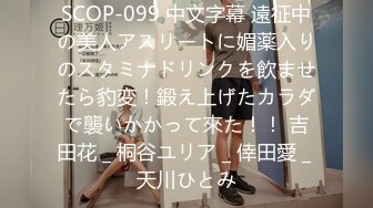 IPZ-955[无码破解]デリバリーSEX 現役看護師夏川あかりの献身的素人お宅訪問！