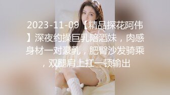 IDG5463 爱豆传媒 代驾小哥爆操 势利眼女车主 嘉嘉