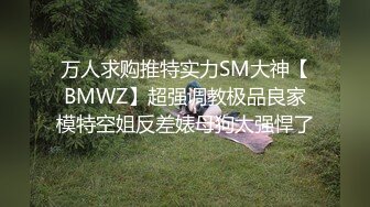 万人求购推特实力SM大神【BMWZ】超强调教极品良家模特空姐反差婊母狗太强悍了