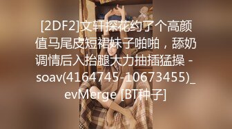 [2DF2]文轩探花约了个高颜值马尾皮短裙妹子啪啪，舔奶调情后入抬腿大力抽插猛操 - soav(4164745-10673455)_evMerge [BT种子]