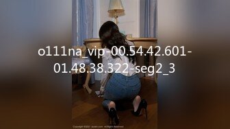 o111na_vip-00.54.42.601-01.48.38.322-seg2_3