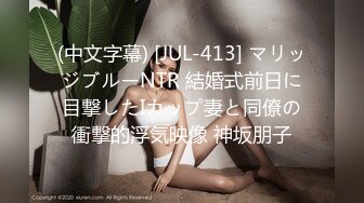 [VENU-985] 父が出かけて2秒でセックスする母と息子 清宮飛鳥