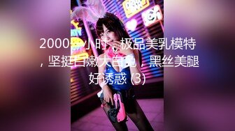 2000一小时，极品美乳模特，坚挺白嫩大白兔，黑丝美腿好诱惑 (3)