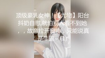 老公拿着单反相机，插入极品老婆的馒头穴