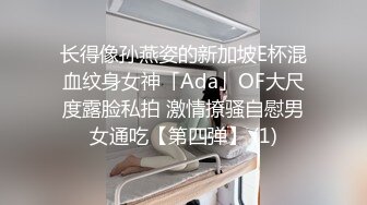 小母狗 骚话对白