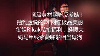 2/2最新 高质量白嫩美女一对翘臀最诱惑浑圆完美VIP1196