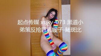 起点传媒 xsjky-073 黑道小弟策反抢巨乳嫂子-陆斑比