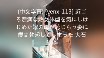 (中文字幕) [venx-113] 近ごろ豊満な熟女体型を気にしはじめた嫁の母が恥じらう姿に僕は勃起してしまった 大石紗季