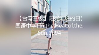 【台湾三级】阳光灿烂的日(国语中字).In.the.Heat.of.the.Sun.1994