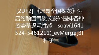 1/9最新 气质女神大红嘴唇热舞扭动真骚水晶大屌插穴插玩下面VIP1196